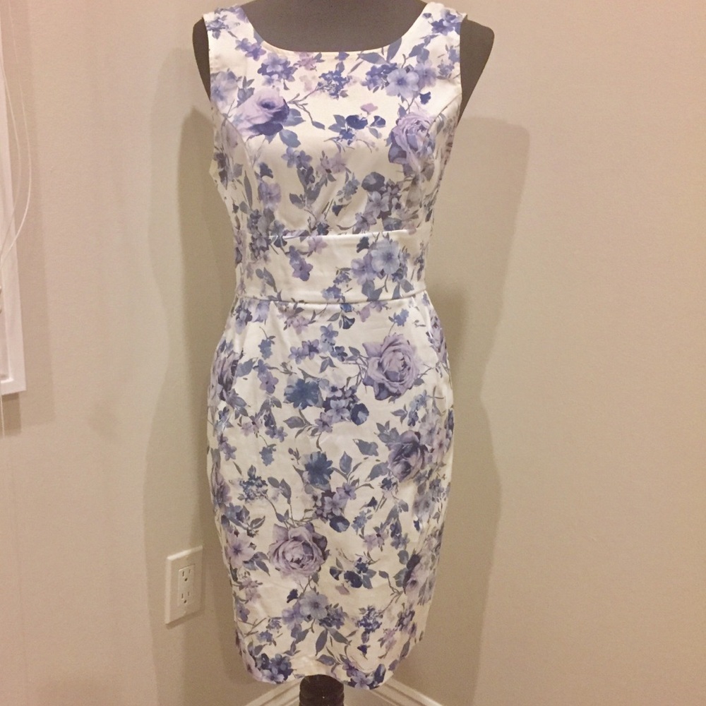 Floral blue and white hourglass spring dress EUC